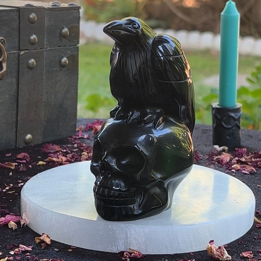 Black Obsidian Crow Skull